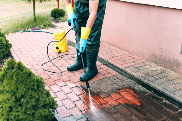 Best Gutter Cleaning and Brightening in Springfield, NJ
